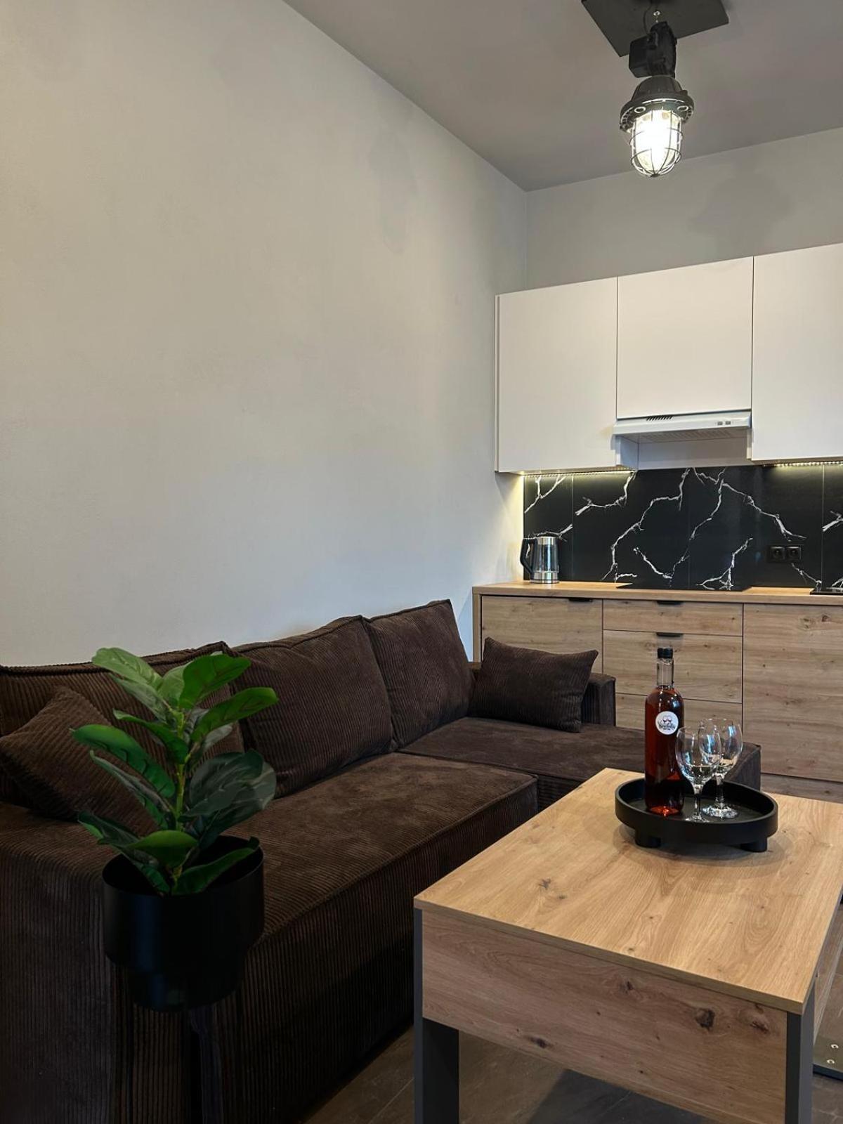 ノヴィ・タルクLoft Houseアパートメント エクステリア 写真